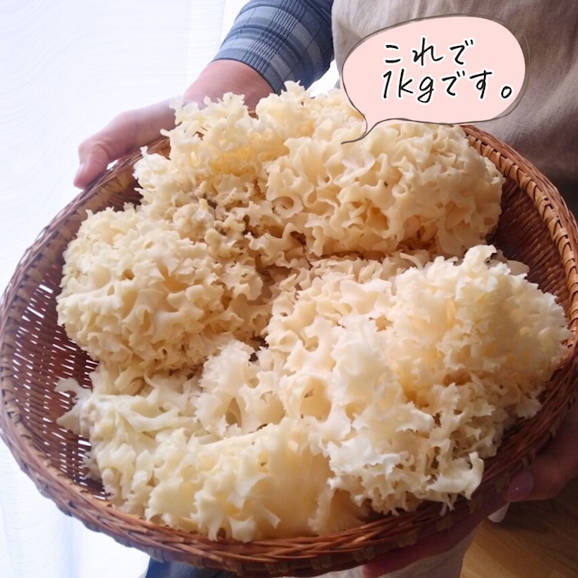 生鮮ハナビラダケ たっぷり1kg