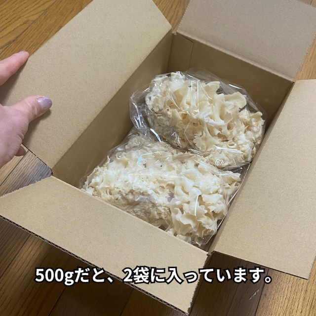生鮮ハナビラダケ まとめて500g