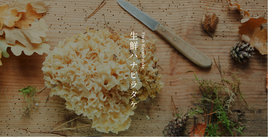 生鮮ハナビラタケ
