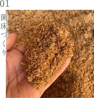 01.菌床づくり