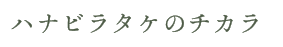 菌と共存する社会へ