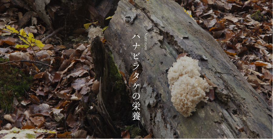 ハナビラタケの栄養
